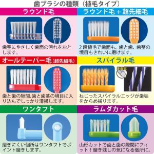 歯ブラシ 歯科専用 アソート20本セット 福袋...の詳細画像3