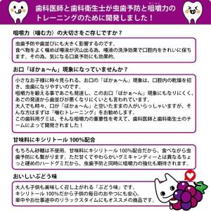 歯医者さんからのリカルグミ ぶどう味 お徳用 ...の詳細画像1