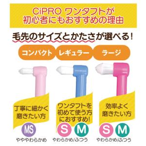 歯ブラシ CiPRO ワンタフト レギュラーヘ...の詳細画像3