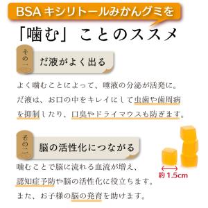 BSA みかんキシリトールグミ 1袋(12粒)...の詳細画像2