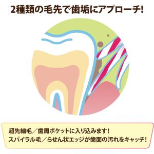 歯ブラシ Ci PRO FOUR 4列歯ブラシ...の詳細画像3