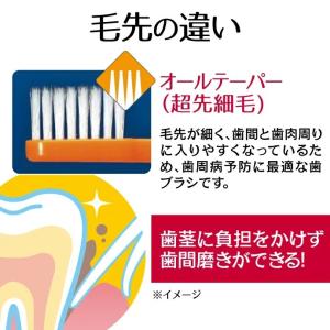 歯ブラシ 毛の種類が選べる リセラ スクエア ...の詳細画像4