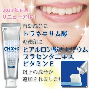 歯磨き粉 CHジェルガード 歯磨きジェル 1本...の詳細画像1