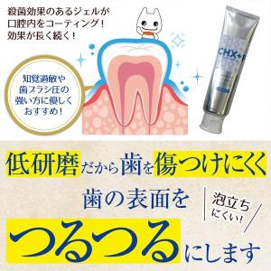 歯磨き粉 CHジェルガード 歯磨きジェル 1本...の詳細画像3