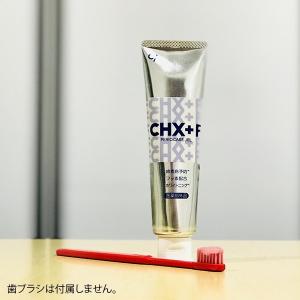 歯磨き粉 CHジェルガード 歯磨きジェル 1本...の詳細画像4