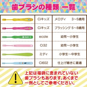 子ども用 歯ブラシ アソート20本セット福袋 ...の詳細画像4