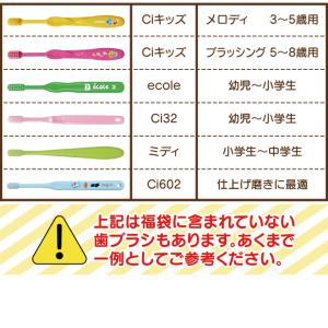 子ども用 歯ブラシ アソート20本セット福袋 ...の詳細画像4