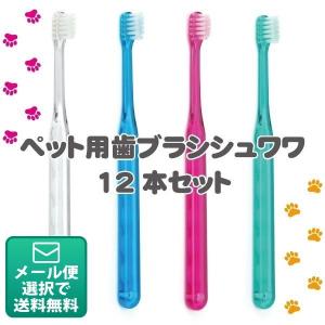 犬用歯ブラシ Ci シュワワ 4色アソート/12...の商品画像