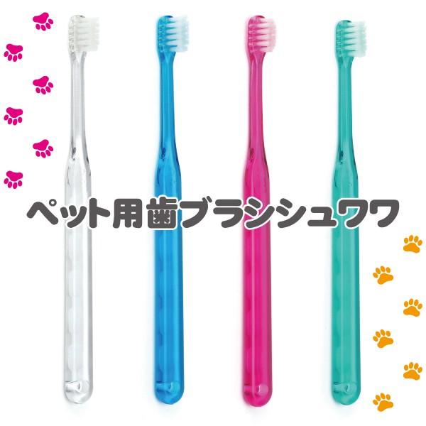 歯ブラシ 犬用歯ブラシ Ci シュワワ 1本 (色指定不可)(メール便30点まで)