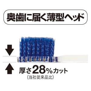 エビス 歯ブラシ プログリップ タイプ1 スパ...の詳細画像2