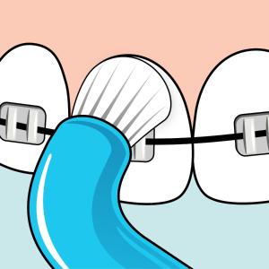 Tepe テペ コンパクトタフト 1本 (Te...の詳細画像2