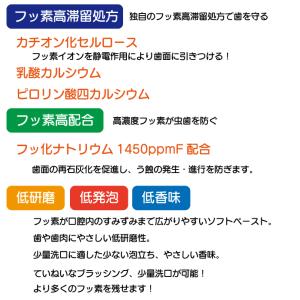 歯磨き粉 チェックアップ スタンダード マイル...の詳細画像2