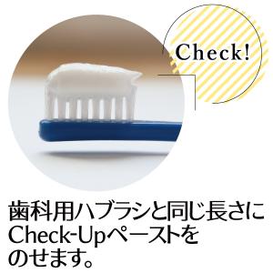 歯磨き粉 チェックアップ スタンダード マイル...の詳細画像3