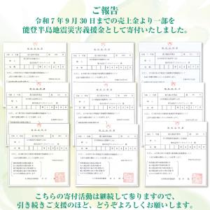 歯科専用 歯ブラシ Gupita グピタ (毛...の詳細画像3