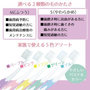 歯ブラシ GC ルシェロ P-21ピセラ M(...の詳細画像4
