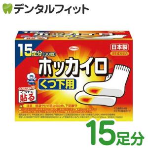 興和 ホッカイロ くつ下用タイプ 1箱(15足分/30枚) 期限2021.04.30