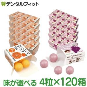 バレンタイン ミントスタイル 手作りキット 2色のロリポップ チョコ