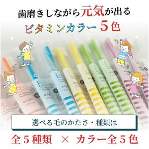 歯ブラシ Ciベーシック 20本セット 超先細...の詳細画像5