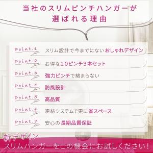 ハンガー ピンチハンガー ステンレス 洗濯 ク...の詳細画像4