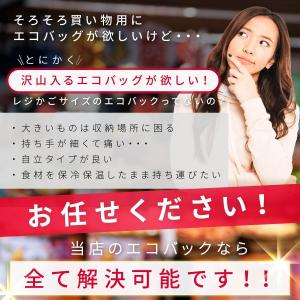 エコバッグ レジカゴ バッグ 保冷 大容量 肩...の詳細画像3