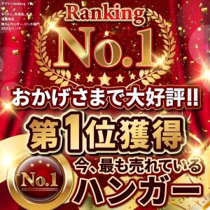 ハンガー ピンチハンガー 洗濯物干し 室内物干...の詳細画像1