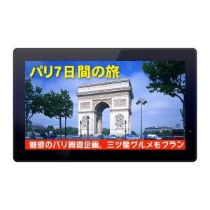 15.6インチ液晶デジタル写真たて/デジタルフォトフレーム「SP-156DM