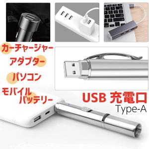 猫じゃらし 猫 おもちゃ LEDポインター ラ...の詳細画像4