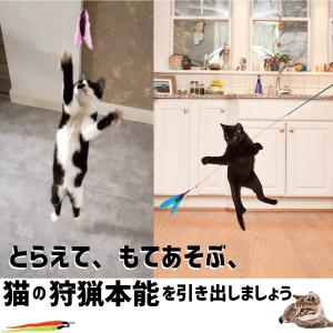 猫じゃらし 11点セット 猫用おもちゃ ねこじ...の詳細画像1