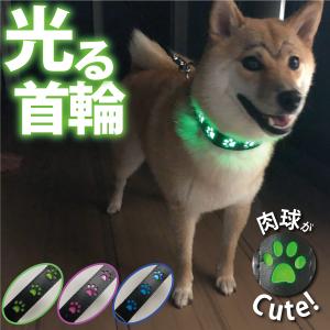 光る首輪 犬 散歩 肉球 LEDライト 夜 夜道 ペット USB充電 軽量 抗菌 安心 安全 事故防止 サイズ調節可能