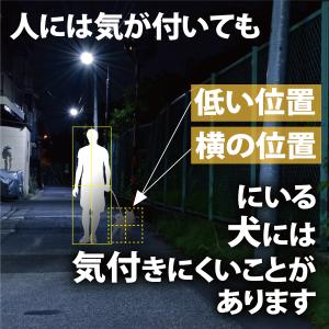 光る首輪 犬 散歩 肉球 LEDライト 夜 夜...の詳細画像4