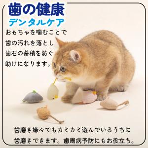 猫 おもちゃ ねずみ 歯磨き 10点 キャット...の詳細画像2