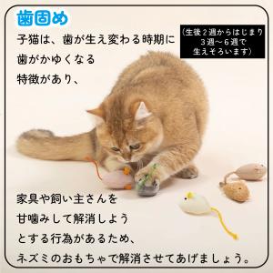 猫 おもちゃ ねずみ 歯磨き 10点 キャット...の詳細画像3