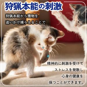 猫 おもちゃ ねずみ 歯磨き 10点 キャット...の詳細画像4