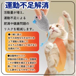 猫 おもちゃ ねずみ 歯磨き 10点 キャット...の詳細画像5
