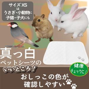 ペットシーツ 洗える 2枚セット ペットマット...の詳細画像1