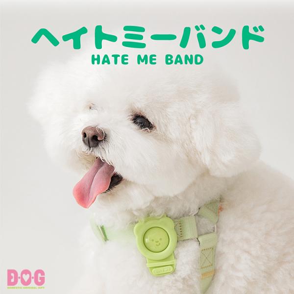 【BITE ME】【ヘイトミーバンド】犬 お散歩 夜 虫よけ 蚊除け ダニ除け