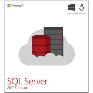 日本マイクロソフト Microsoft Sql Server Standard Edition 17 Japanese 1 License Dvd 10 Client 228 最安値 価格比較 Yahoo ショッピング 口コミ 評判からも探せる