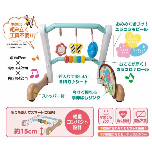うちの赤ちゃん世界一スマート知育ジム&amp;ウォーカー TB-150