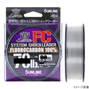 サンライン(SUNLINE) SaltiMate システムショックリーダー FC 50m 16lb クリア[ソルトルアーライン]｜d-park