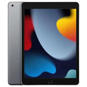 新品同様 iPad（第9世代） Wi-Fi 本体 64GB iPad2020 ライトニングコネクタ Apple Pencil対応 スタイラスペン特典