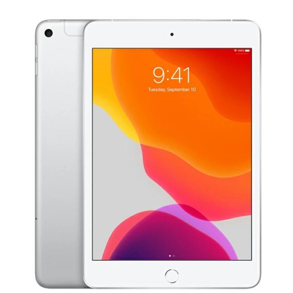 iPad mini（第5世代） Wi-Fi+Cellular 本体 SIMフリー 256GB 7.9...