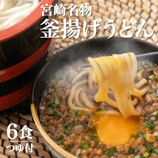 爆買 宮崎 釜あげうどん 6食 つゆ 薬味 釜揚げうどん 産地直送 お取り寄せ ご当地グルメ 食品
