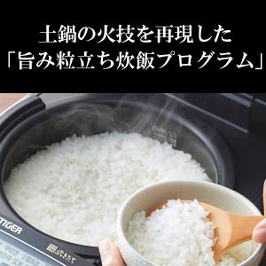 JPV-X100-KO TIGER タイガー ...の詳細画像2