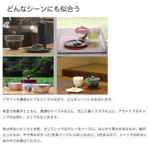 POD02-DGB AO Labo. アオラボ...の詳細画像5