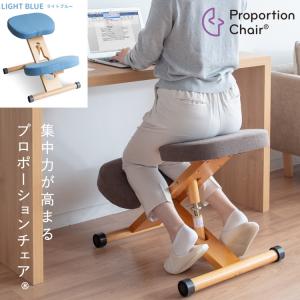 宮武製作所 メーカー直送 プロポーションチェア 背筋矯正 組立式