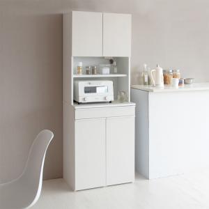 分別ドロワーダストボックス 45L×2