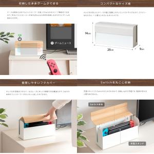 メーカー直送 ゲーム機ケース スチール製 宮武...の詳細画像2