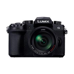 ☆Panasonic / パナソニック LUMIX DC-G99DH 標準ズームレンズキット 