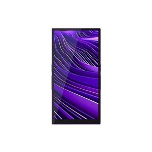 ★HiBy Music R6 Pro II [64GB Purple] 【デジタルオーディオプレーヤー(DAP)】