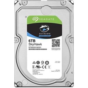 シーゲート Seagate SkyHawk 3.5インチ HDD 6TB ST6000VX001